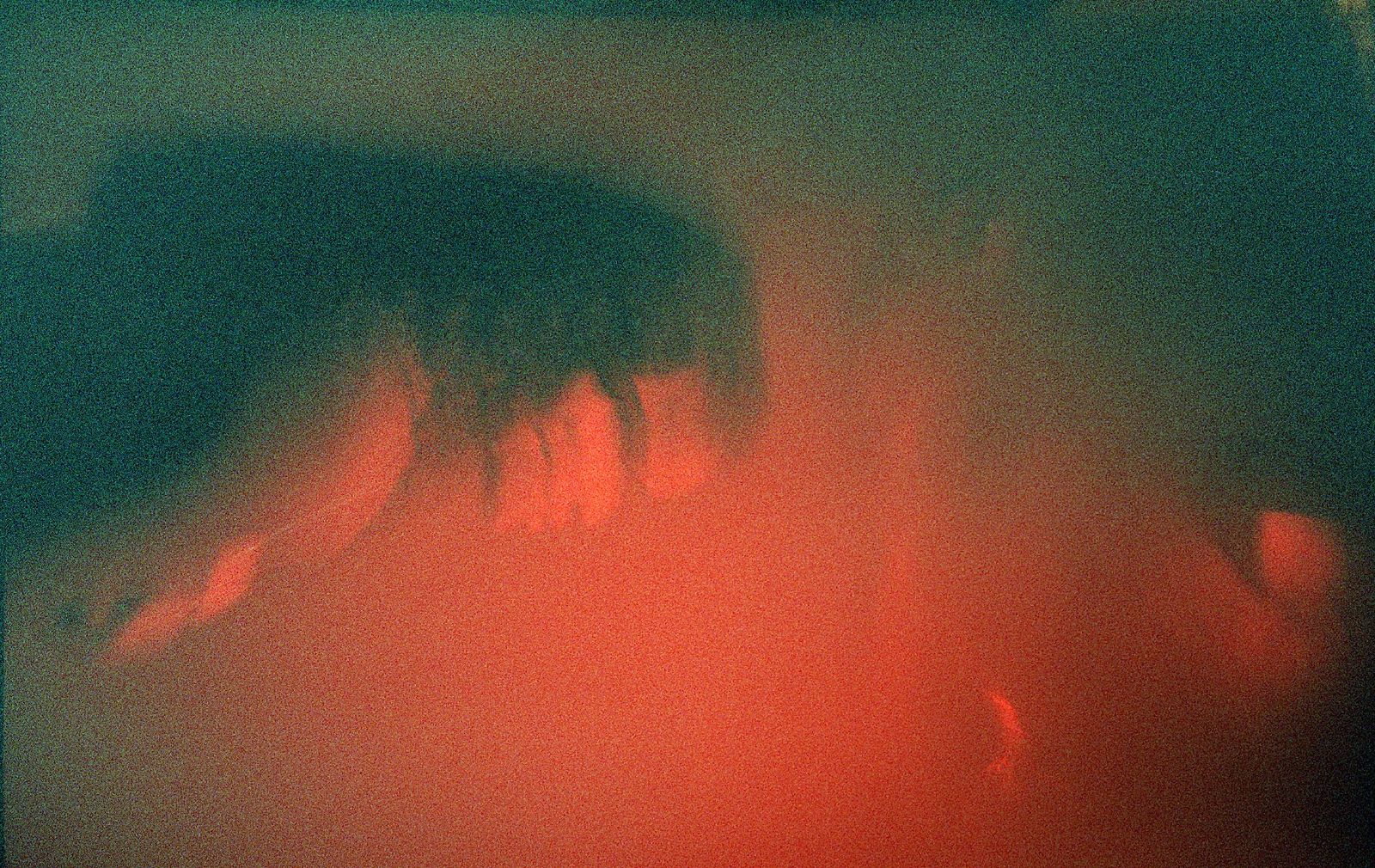 Light leak — film photograph by Maxie Harrington